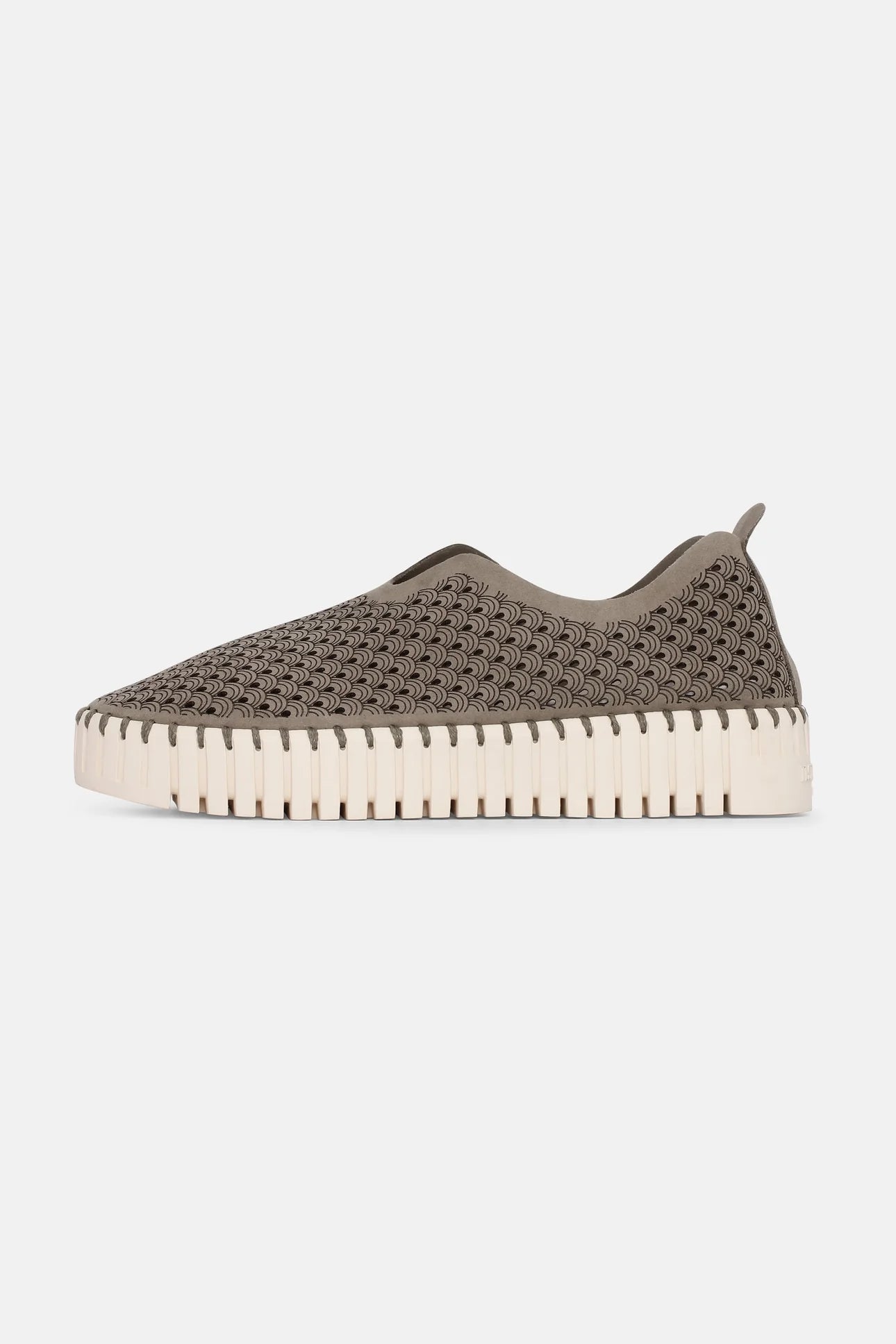 Ballerina Tulip 3373 Taupe