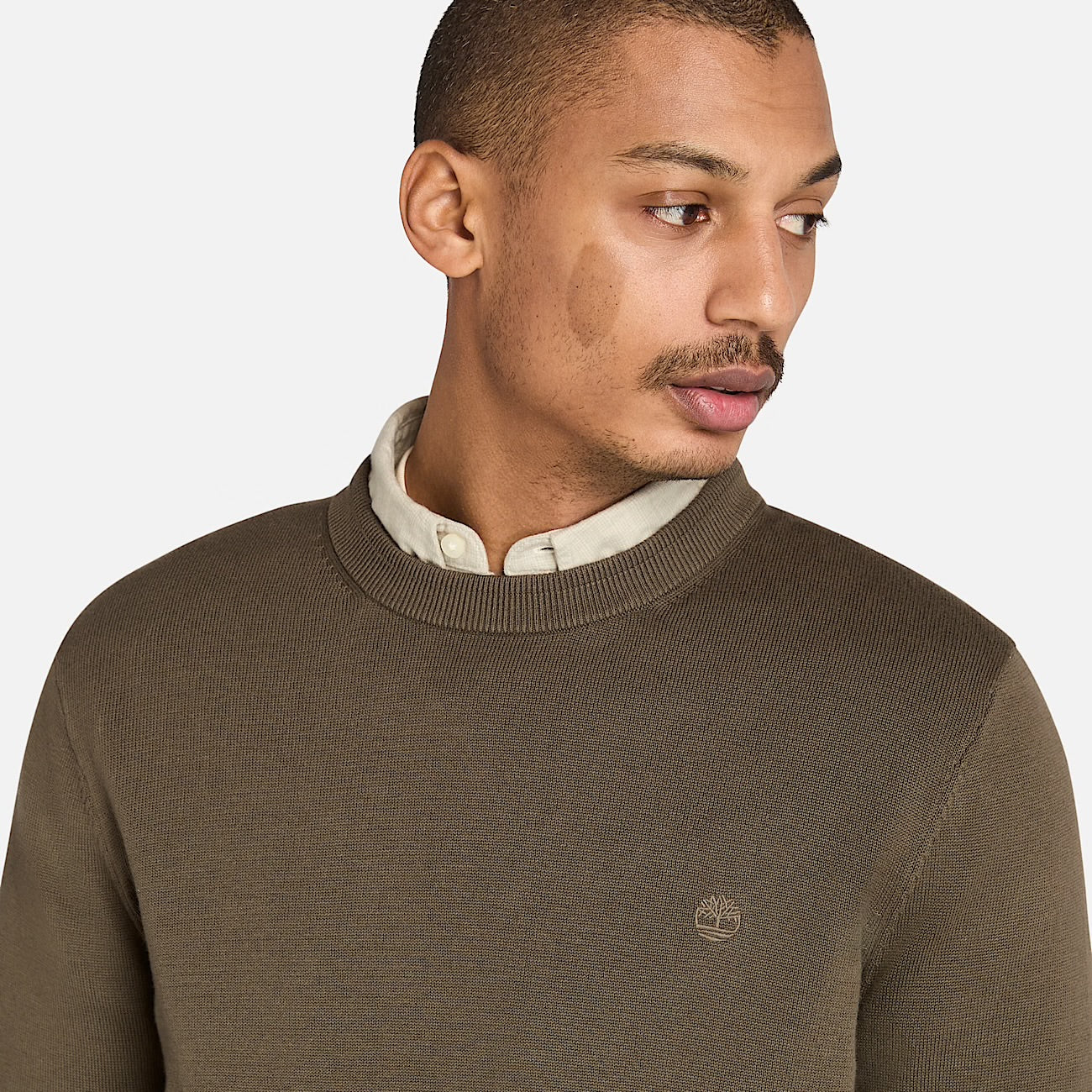 Maglione in Cotone Williams River da Uomo verde