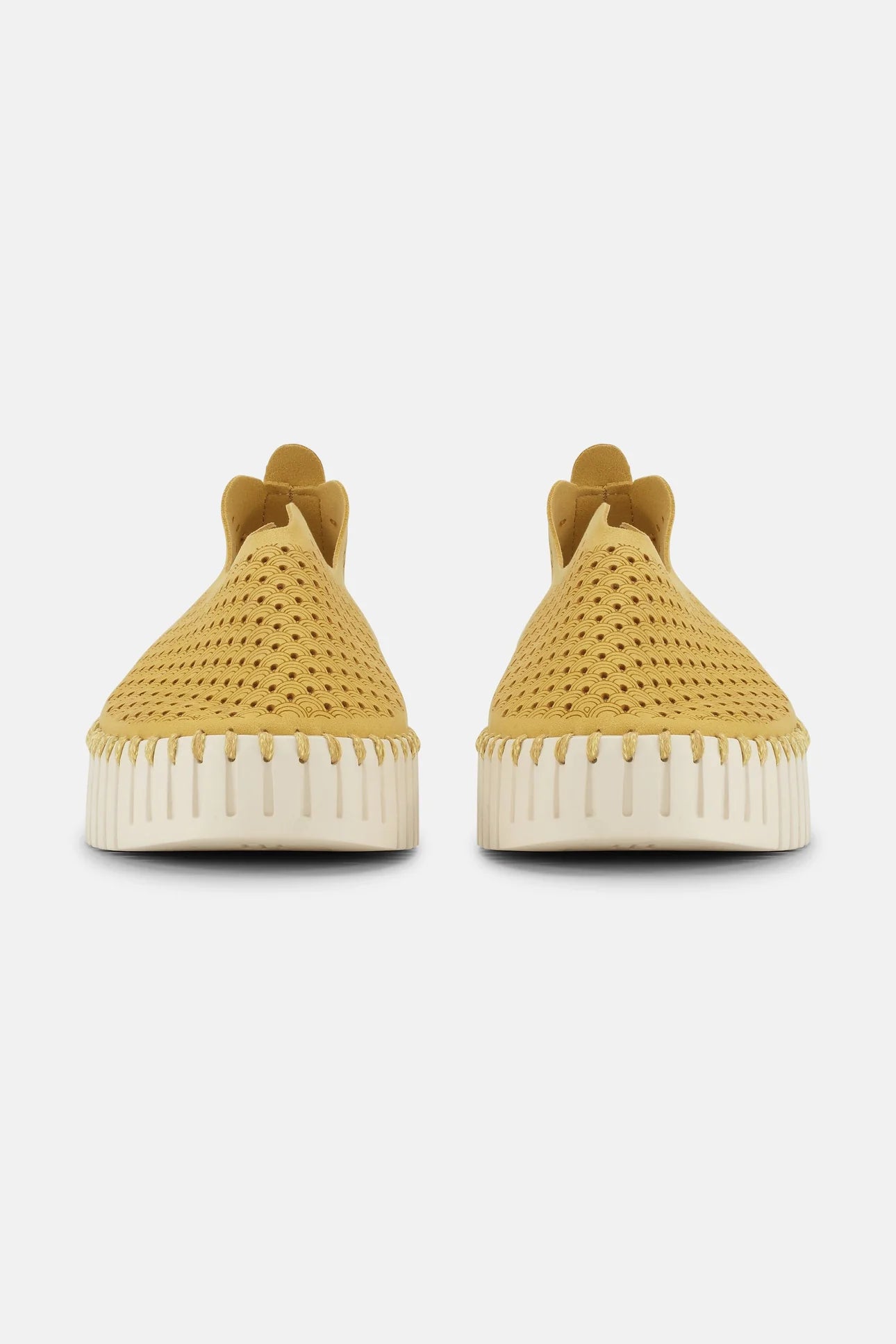 Ballerina Tulip 3373 Ocra