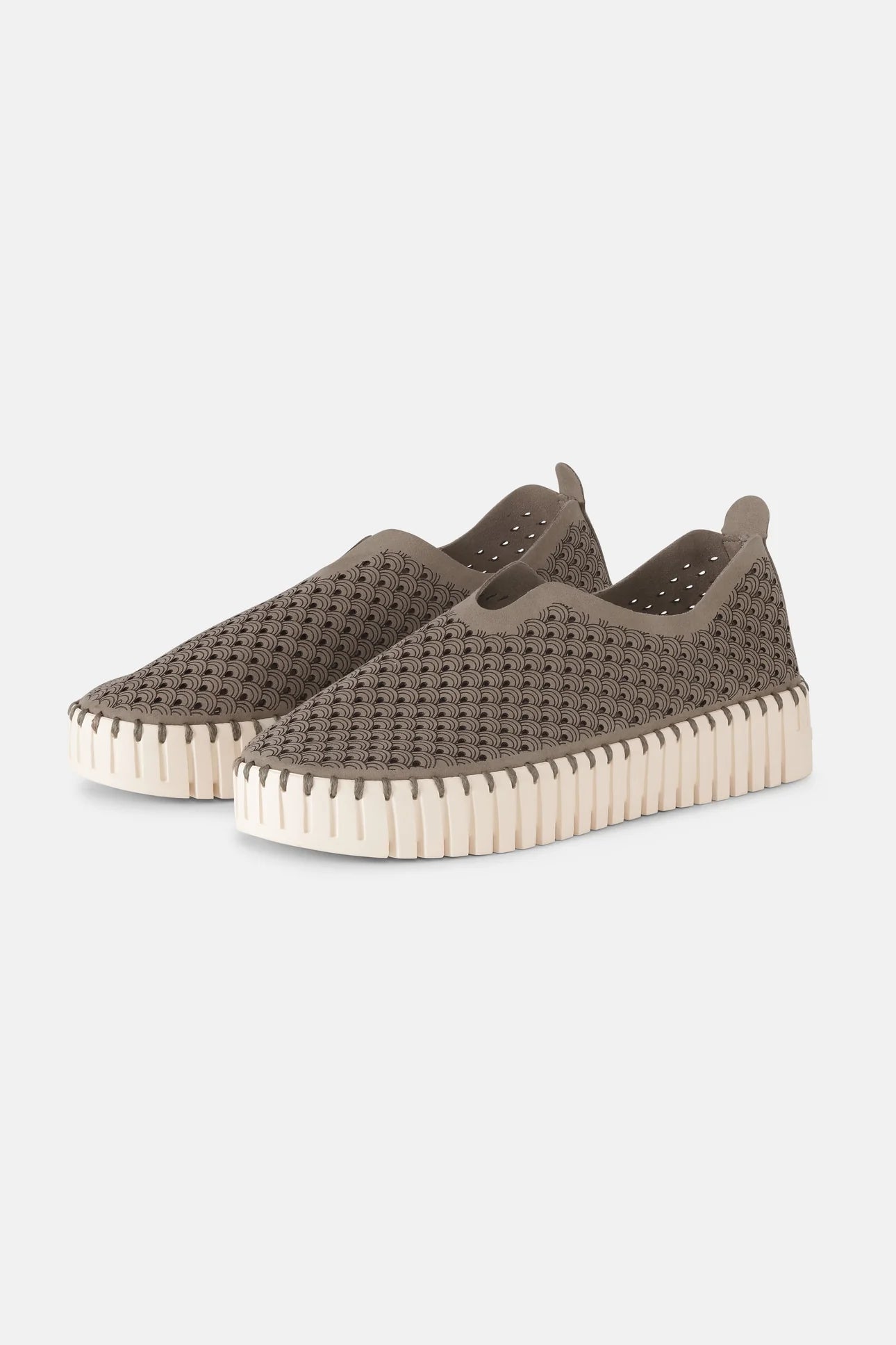 Ballerina Tulip 3373 Taupe