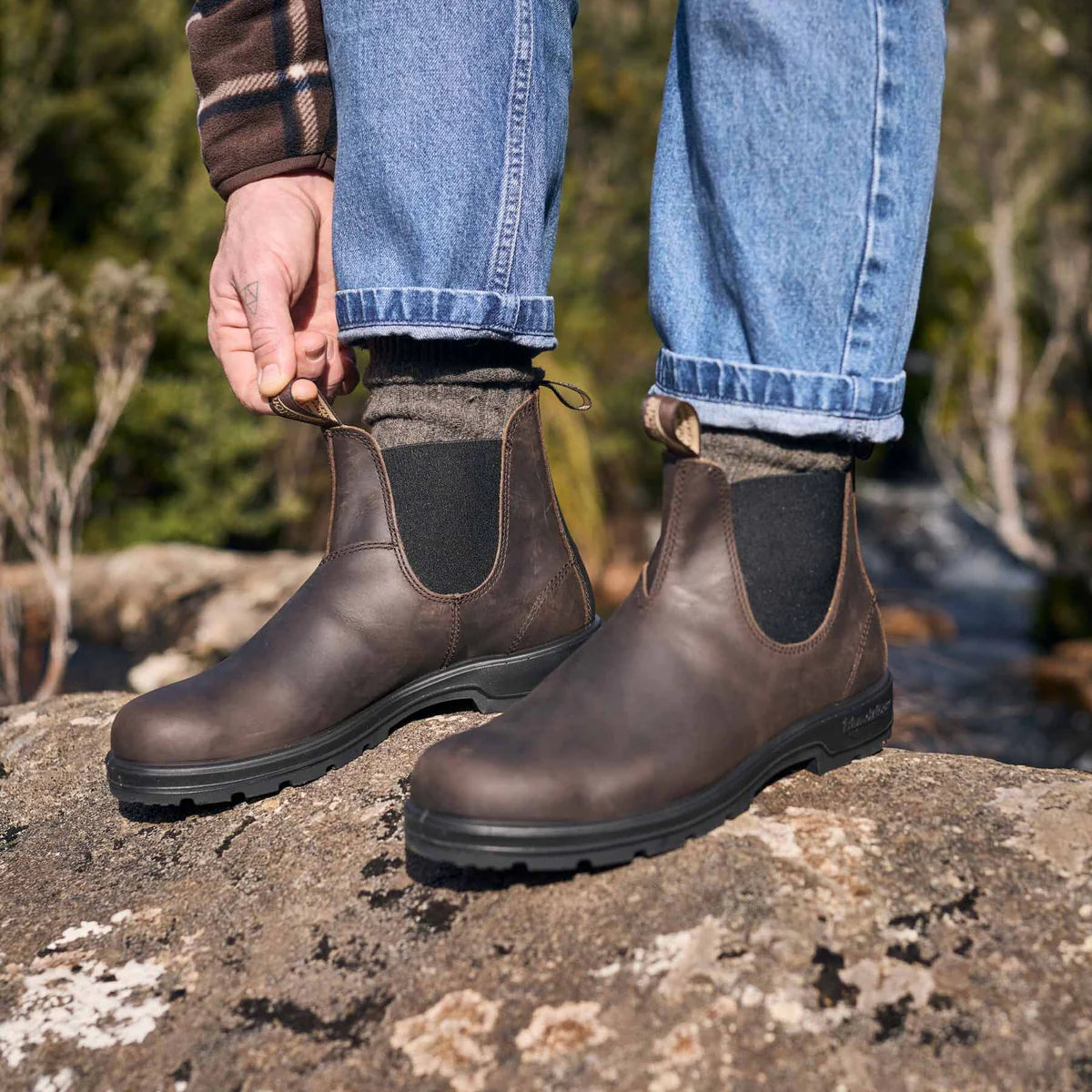 Blundstone 2340 Nabuk Marrone