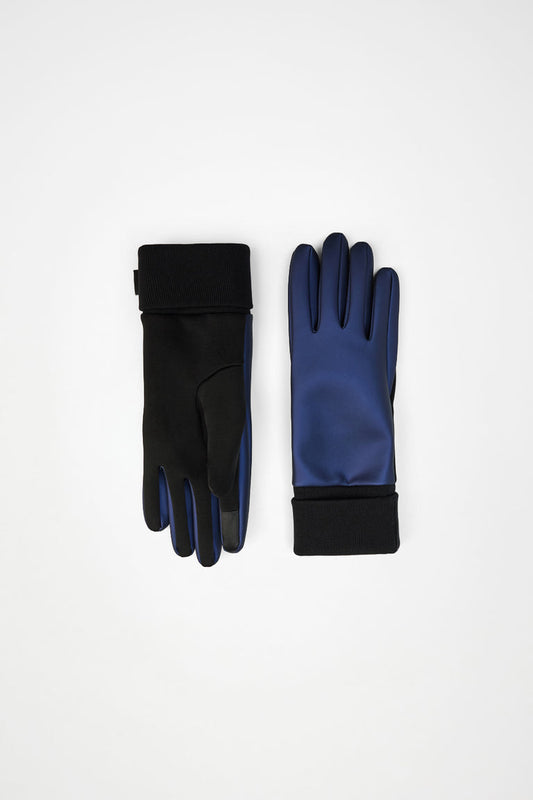 Gloves W1T1 bluette